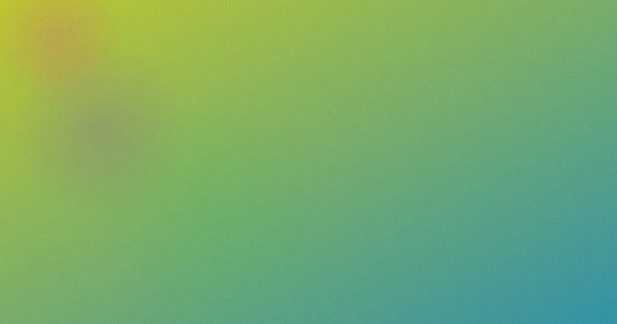 陈博豪推荐：新手指南